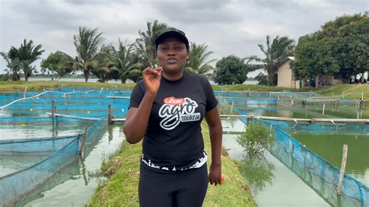 Broooo 😳 here’s why earthen pond fish farming is a better option than doing it in the river. | The Ghanaian Farmer