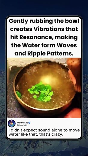 Sound Waves Creating Water Patterns Through Resonance!!
