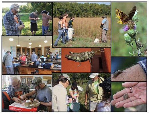 Planning and Conducting a Small-scale Bioblitz Event (U.S. National Park Service)