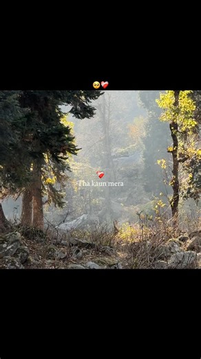 Ifhamalisyed on Instagram: "Saanson se zyada Jo zaroori tha . . . . . . . . . . . . . . . . . . . . . . . . . . . . . . . . . . . . . . . Keywords (nature, aesthetics, nature photography, videography, Kashmir, mountains, water, rivers, nature ) #nature #naturephotography #spring #weather #rainy #snow #kashmir #videography #peace #song #music #asthetics"