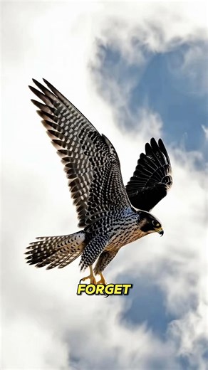 Why This Bird Doesn't Explode at 390 km/h 🤯