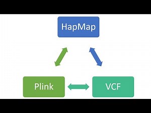 Convert SNP data from one format to another in few clicks. Part 1| HapMap | VCF | Plink