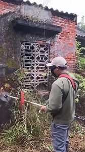 Bush Cutting and Yard Cleanup – Eye-Catching Results #abandoned #lawn #cleanup #cleaningmotivation #clean #overgrown #transformation | CleanUp Crew