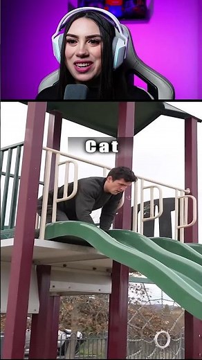 como diferentes animais descem um escorregador ENGRAÇADO 😂 IB @JiembaSands