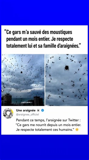 Hahahahaha😂#humour