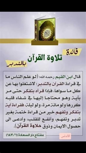 Mohamad Mogali on Reels | Facebook