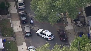 Girl, 2, struck, killed after following mom back to car: police