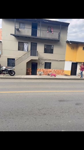 Las mascotas de los guaracheros derramando grasa de nube voladora #guracha #humor | Solo Faracha