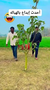 4.8K reactions · 144 shares | أحدث إبداع بالهباله | محمد بن عبدالمغني | Facebook