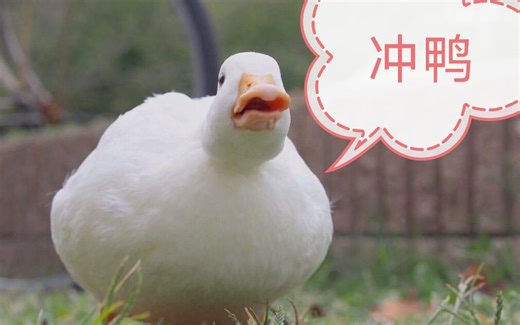 win10提取应用图标教程