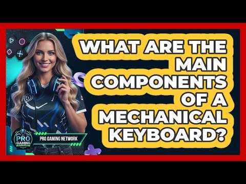 What Are The Main Components Of A Mechanical Keyboard?