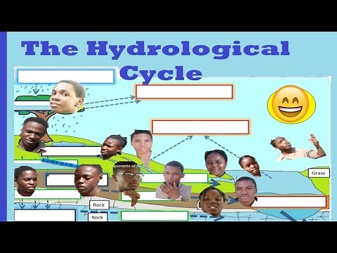 Components of the Hydrological cycle explained by My Class