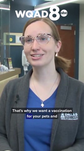 Animal rabies cases found in 2 different Iowa counties