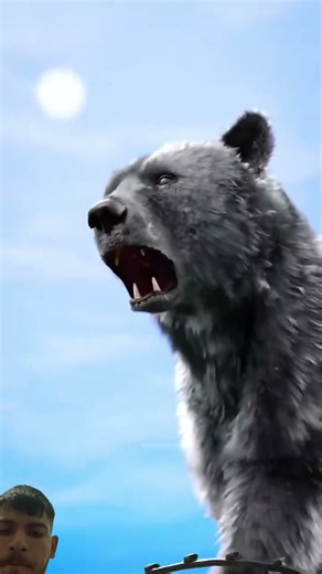 How Bear Traps Work ? #shorts