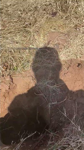 What does a Gopher Tunnel look like?