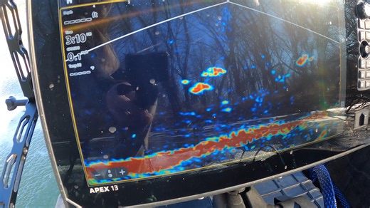 Watch this small group of crappie come checkout my jig on Humminbird Mega Live 2! #icefishing #fishing #crappie #humminbird #megalive2 | Reel Fresh Catch