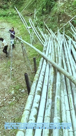 Bamboo Loading Hack: Fast & Easy with a Motorized Roller!