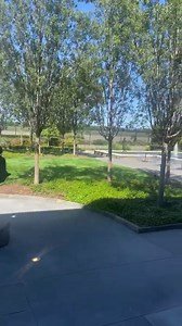 1.1K views · 33 reactions | GSP now has shuttle service from the economy parking lots! If you’re returning to GSP, the shuttle bus will pick you up from the curb, just outside of Baggage Claim. | Greenville-Spartanburg International Airport | Facebook