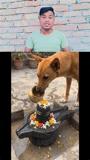 हर हर महादेव ! viral dhoom boy 🤔 Nirhua kya bole khesari lal ke bare me