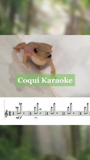 Coqui Frog Music Transcription and Animal Sounds
