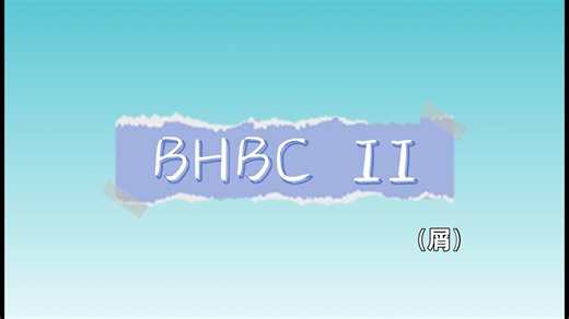 [iwbtc/?+/自作自收]高难限帧《BHBC II》全流程实况（剪的tab有点多，将就看吧）