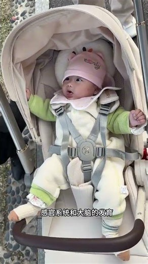 Title (English): When Can a Newborn Go Out? Essential Precautions for Safe outings