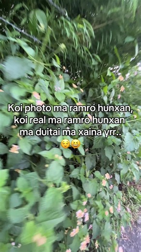 Koi Photo Ma Ramro Hunxan - Artistic Reflections