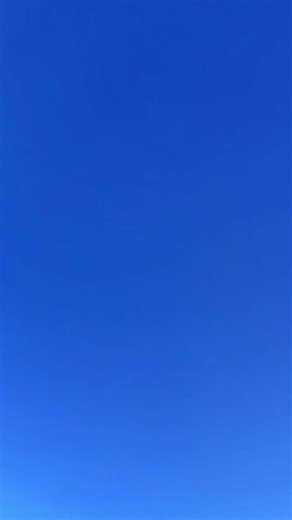 Fishing Adventures: The Challenge of Catching Pink Snapper