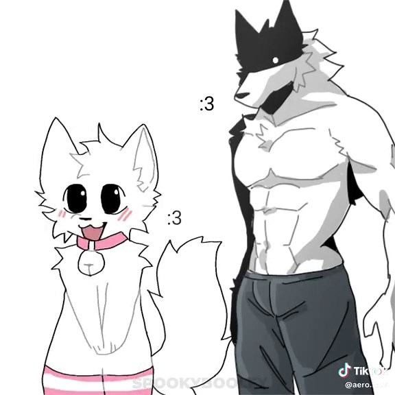 furries has two sides #furry #fursona #furryfandom #furrycommunity #furry