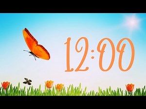 12 Minute Spring Timer