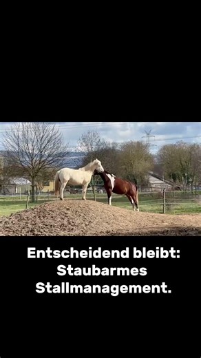 Gestern im Radio: Feinstaub über Deutschland