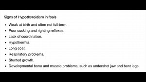 132K views · 14K reactions | Tissue ALERT: Today, the Vets arrived...