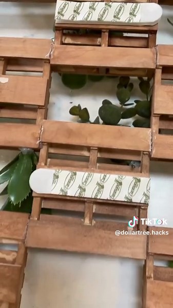 dollar tree diy wood #wallart #walldecor #woodworking #woodcraft #miniplants #wallplant #howto #wood #crafting #springinspo #2024