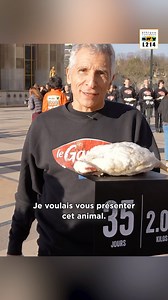 @naguiiiiiii rejoint les rangs de L214 pour dénoncer les conditions de “vie” des poulets legaulois_officiel. À cette occasion, des bénévoles L214 portent des dizaines de cadavres de poulets issus d’un élevage de la marque, en plein Paris. Ces poulets sont tous morts à un très jeune âge en raison de la sélection génétique extrême à laquelle ils sont soumis. Comme Nagui, aidez-nous à convaincre Le Gaulois en partageant cette vidéo massivement sur vos réseaux sociaux ! ✊ #LeGaulois #L214 #vegan #an