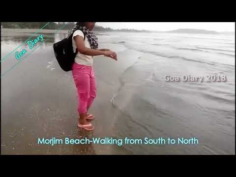 Morjim Beach (Goa) Full Video