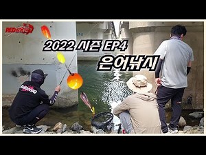 [경주] 해산은어낚시채비방법 (크릴새우미끼) - 🐠 자작찌 🐠 바다에서 하천으로 올라온 수박향 가득한 물고기! Grilled Sweetfish !!! あゆ 아유