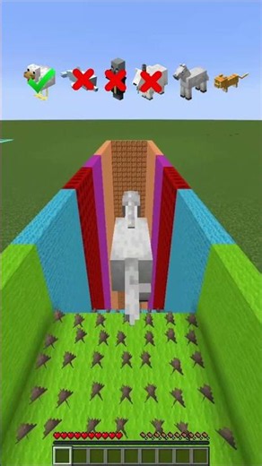 Minecraft Mobs Custom Battle!!💀💀#minecraft #shorts