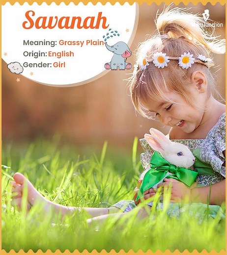 Savanah Name Meaning: Origin, History & Pronunciation