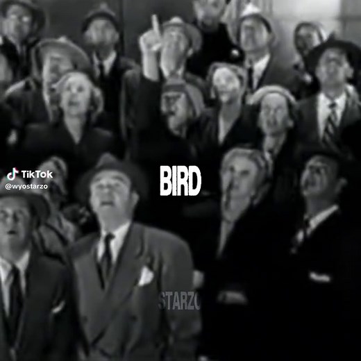 Larry Bird: NBA Legend Highlights and Trash Talk
