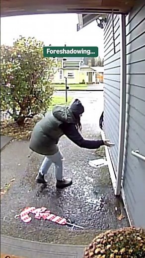 Holiday mishap captured on Blink Video Doorbell