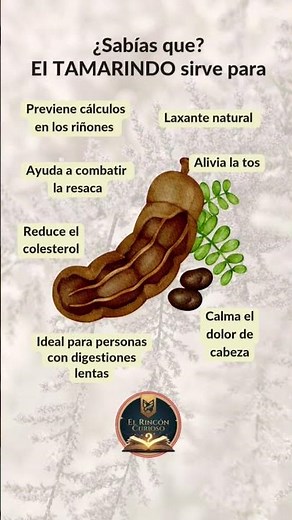 El tamarindo y sus beneficios #ciencia #conocimiento #datoscuriosos #alimentacion #sabiasque #salud