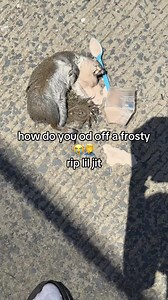 no animals were harmed in the making of this video #fyp #viral #xyzbca #wendys #squirrel