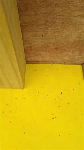 Essential Woodworking Tips for Every Carpenter