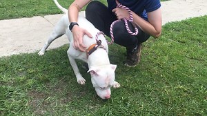 1.1K views · 58 reactions | CRYSTAL is a staff favorite because she...