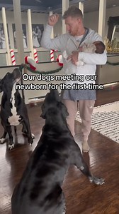 Her biggest fans! 🐶​🩷 | Happilyevansafterr