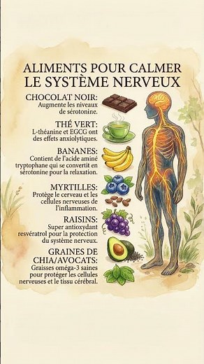 Anxiété et Stress ? 6 Super Aliments pour Apaiser Votre Nerveux !