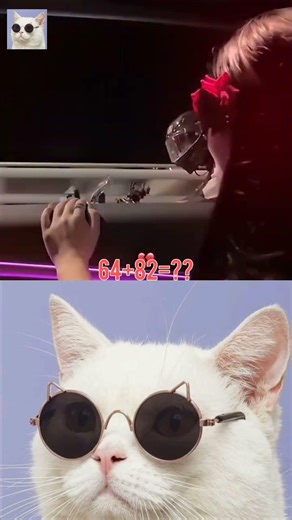 janwar bolte hai #mrbeast #funny