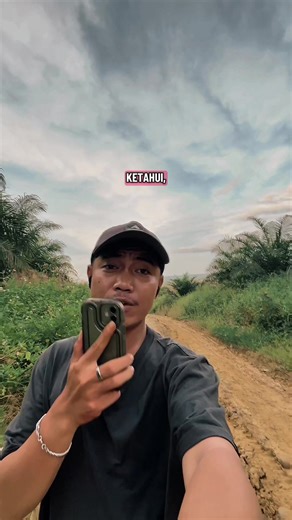 Hp Mirip iPhone: Kelebihan dan Kekurangan