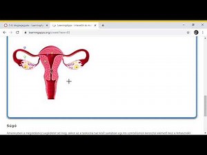 Learning Apps a digitális oktatásban