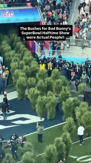 After Bad Bunny’s elaborate Super Bowl halftime show, one unexpected detail caught the internet’s attention - the “grass” covering the stage was actually hundreds of performers in costume. About 500 extras were dressed as bushes and greenery to recreate the landscape of Bad Bunny’s hometown, Vega Baja, after production limits made using real turf impractical. One participant, Andrew Athias, revealed that performers needed an athletic build, a height between 5’7” and 6’, and the ability to wear a
